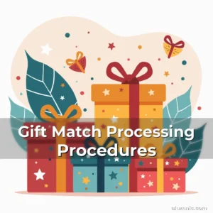 Artistic representation for Gift Match Processing Procedures